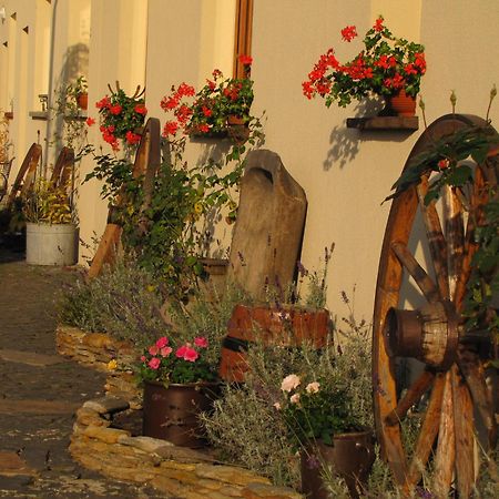 Pokoje Goscinne Skalnik - Agroturystyka Kostrzyn nad Odra Esterno foto
