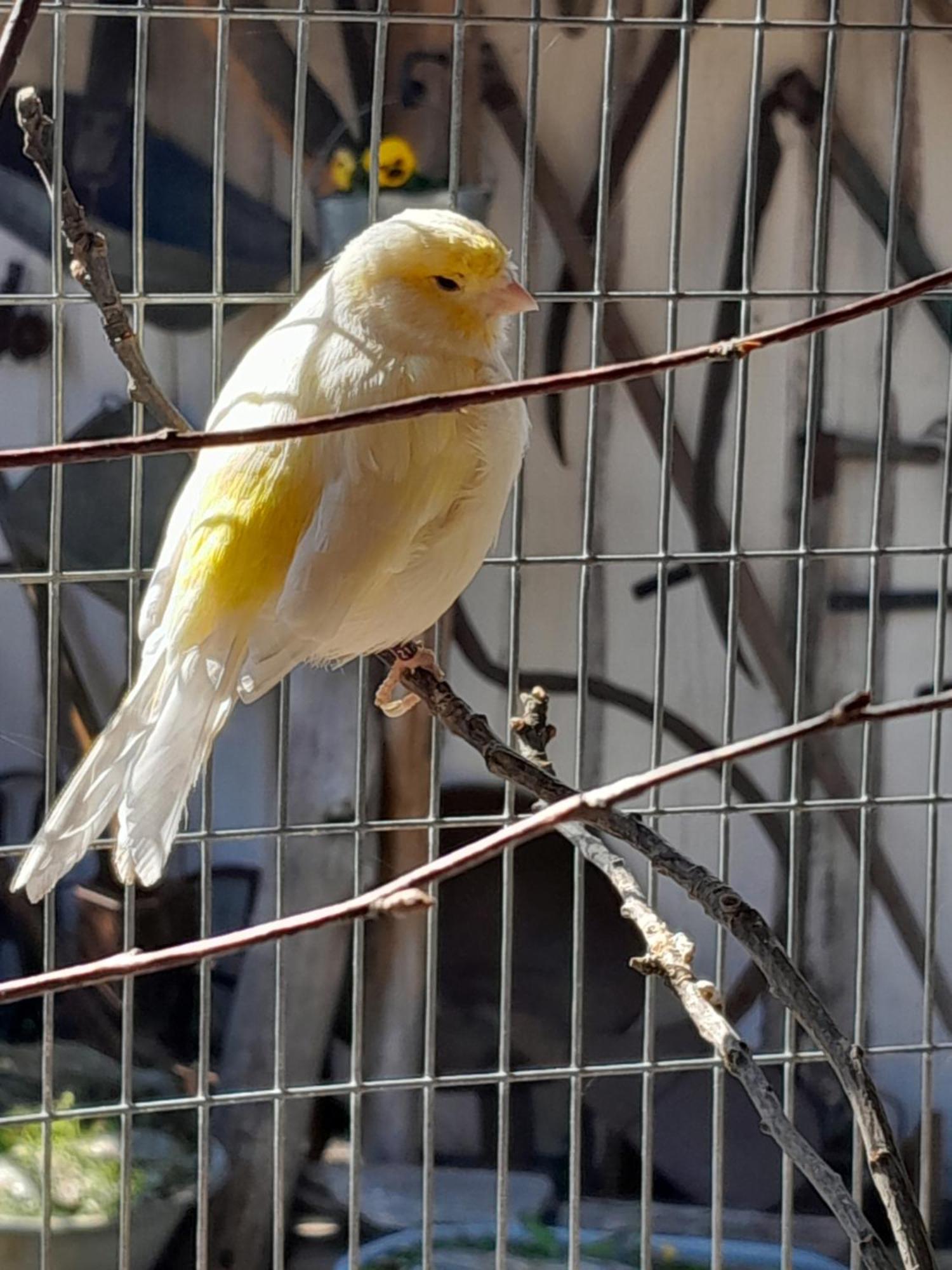 Pokoje Goscinne Skalnik - Agroturystyka Kostrzyn nad Odra Esterno foto