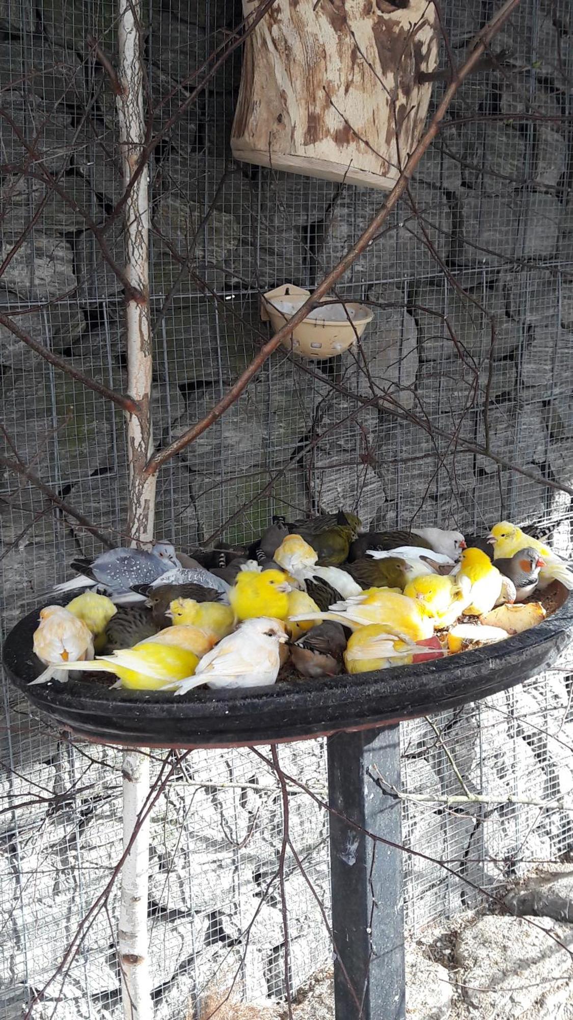 Pokoje Goscinne Skalnik - Agroturystyka Kostrzyn nad Odra Esterno foto