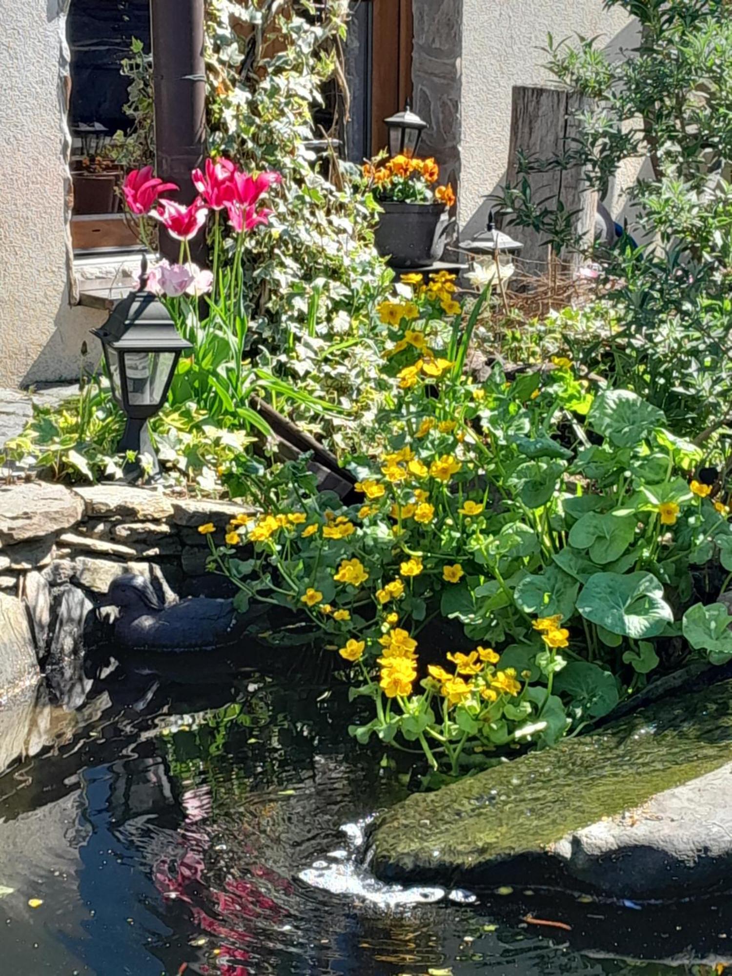 Pokoje Goscinne Skalnik - Agroturystyka Kostrzyn nad Odra Esterno foto